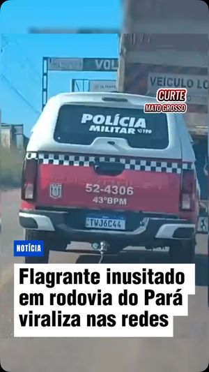 Video post by @curtematogrosso on Instagram