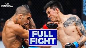 Video post by @pflmma on YouTube