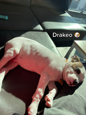 Video post by @giosanders20 on TikTok