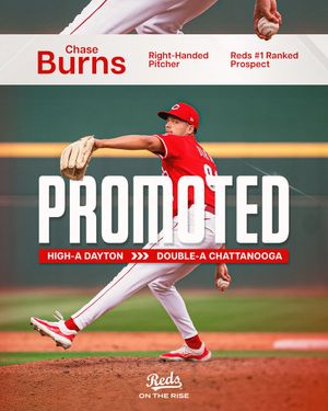 Image post by @RedsOnTheRise on Twitter