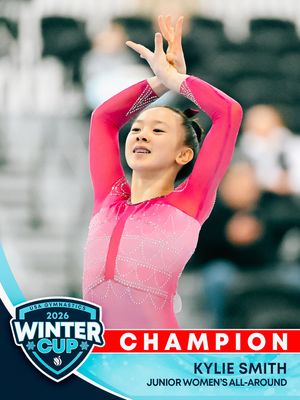 Image post by @usagym on Instagram