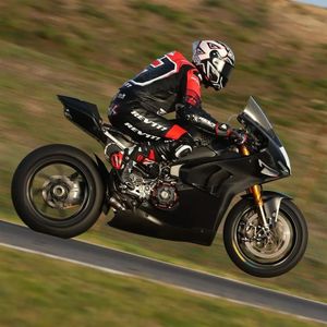 Image post by @panigalers on Instagram
