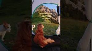 Video post by @claritin on YouTube