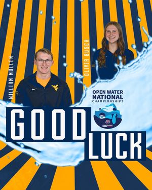 Image post by @wvuswimdive on Instagram