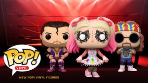 Image post by @WWEShop on Twitter