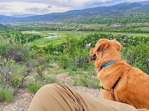 Image post by @arrowheadco on Instagram