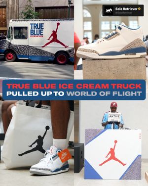 Image post by @soleretriever on Instagram