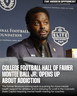 Image post by @thehiddenopponent on Instagram