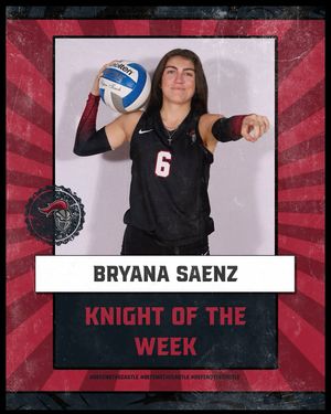 Image post by @arcadia_knights on Instagram