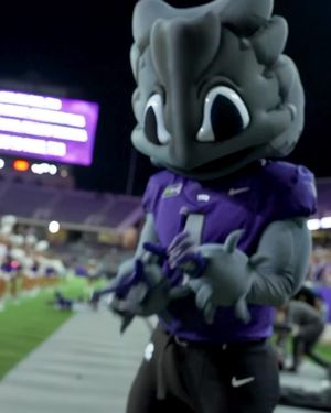 Image post by @tcu.superfrog on Instagram
