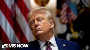 Video post by @msnbc on YouTube