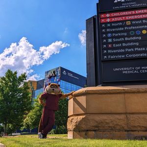 Image post by @goldythegopher on Instagram