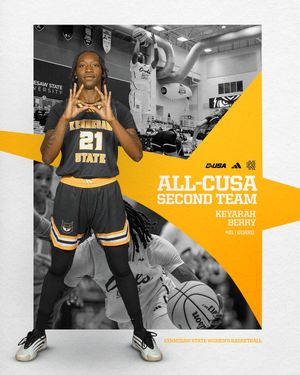 Image post by @ksuowlswbb on Instagram