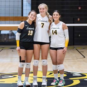 Image post by @witathletics on Instagram