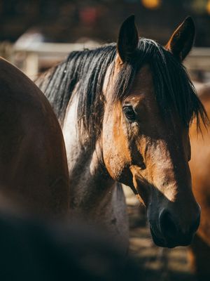 Image post by @resistol1927 on Instagram