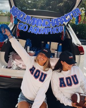 Video post by @aquaphor on TikTok