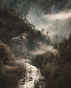 Image post by @wandernorthga on Instagram
