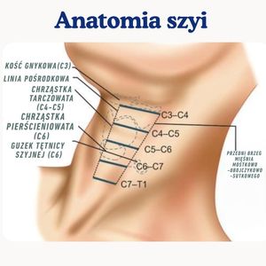 Image post by @neurochirurg_litak on Instagram