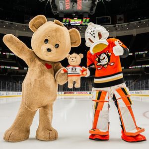 Image post by @anaheimducksfoundation on Instagram