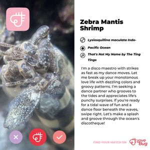 Image post by @butterflypavilion on Instagram