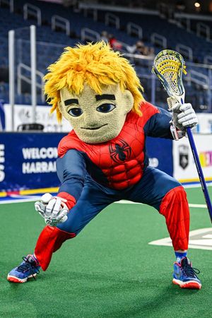 Image post by @NLL on Twitter