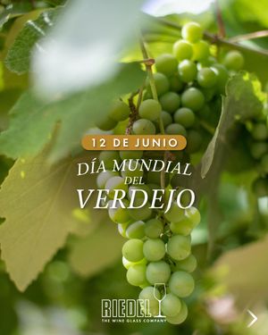 Image post by @riedelpartner_vnzla on Instagram