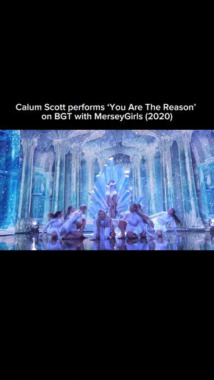 Video post by @avenoirscotties on TikTok