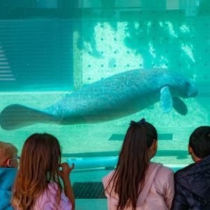 Image post by @cmaquarium on Instagram