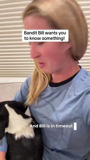 Video post by @momchats on TikTok