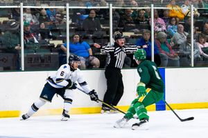 Image post by @sfstampede on Instagram