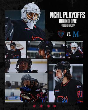 Image post by @depaulhockey on Instagram