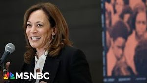 Video post by @msnbc on YouTube