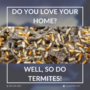 Image post by @TurnerPestControl on Facebook