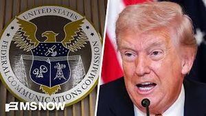 Video post by @msnbc on YouTube
