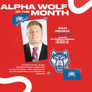 Image post by @uwgwolvesfb on Instagram