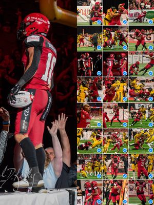 Image post by @jaxsharks on Instagram