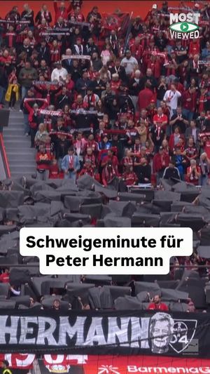 Video post by @sport_bild on Instagram