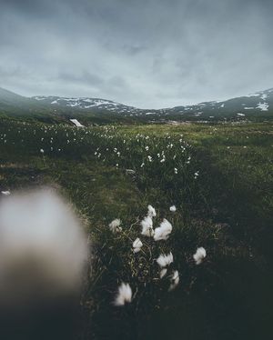 Image post by @kszczuka on Instagram