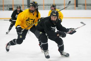 Image post by @TheBostonPride on Twitter