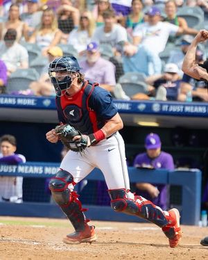 Image post by @grovecollectivenil on Instagram