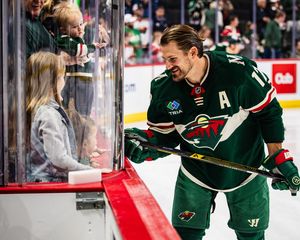 Image post by @minnesotawild on Instagram