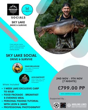 Image post by @brothercarp on Instagram