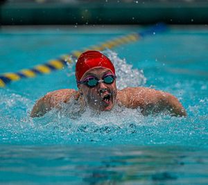 Image post by @spiderswimdive on Instagram