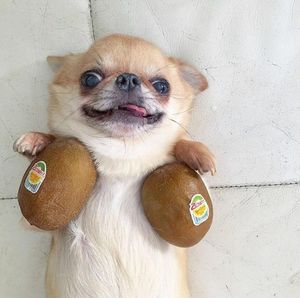 Image post by @rindsnacks on Instagram