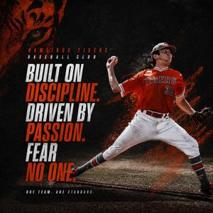 Image post by @rawlingstigers on Instagram