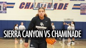 Video post by @qwik11hoops on YouTube