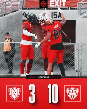 Image post by @nflpabowl on Instagram