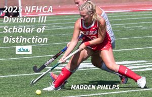 Image post by @denisonfh on Instagram