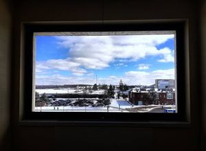 Image post by @universityatbuffalo on Instagram