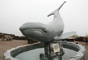 Image post by @theoregonian on Instagram